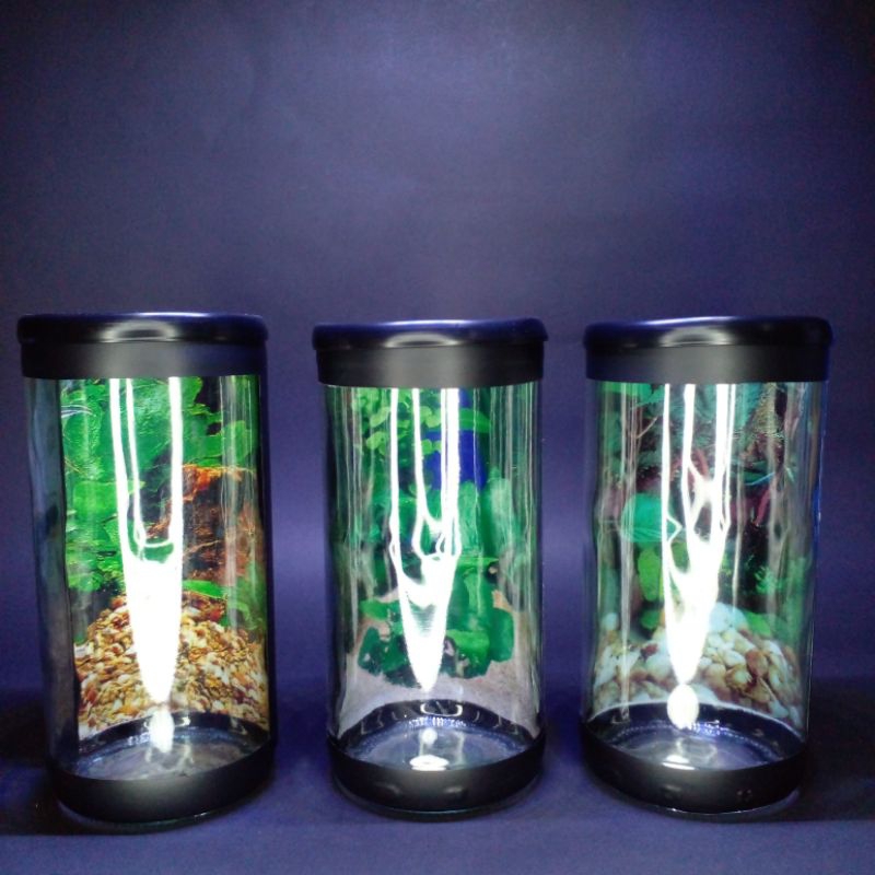 Aquarium mini/ Soliter Cupang/ Soliter mini/ Soliter ikan/ Botol ikan Cupang/ Aquarium ikan hias/ Wa