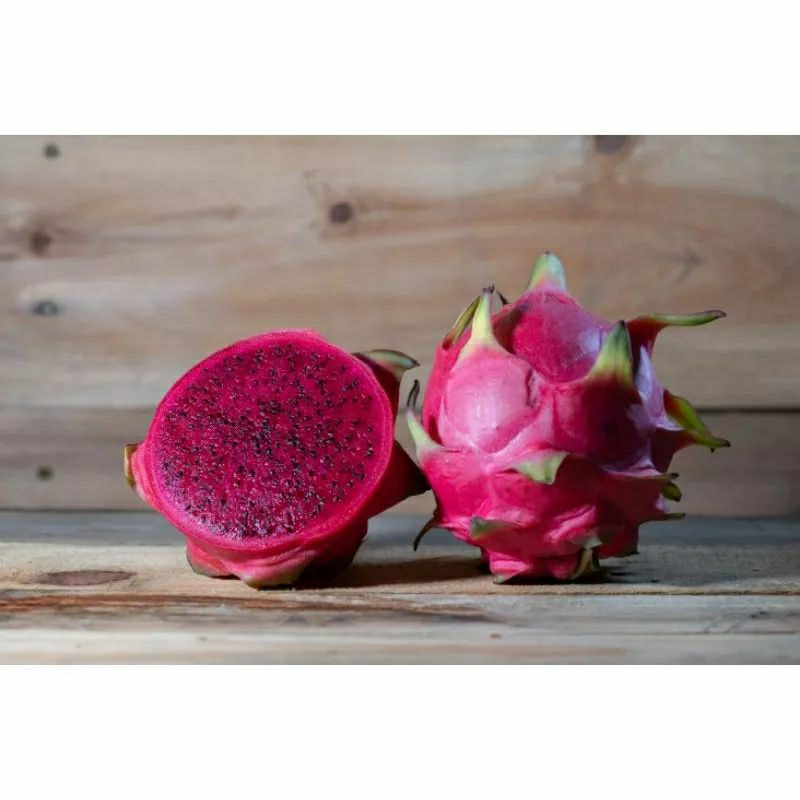 

Buah Naga Merah super