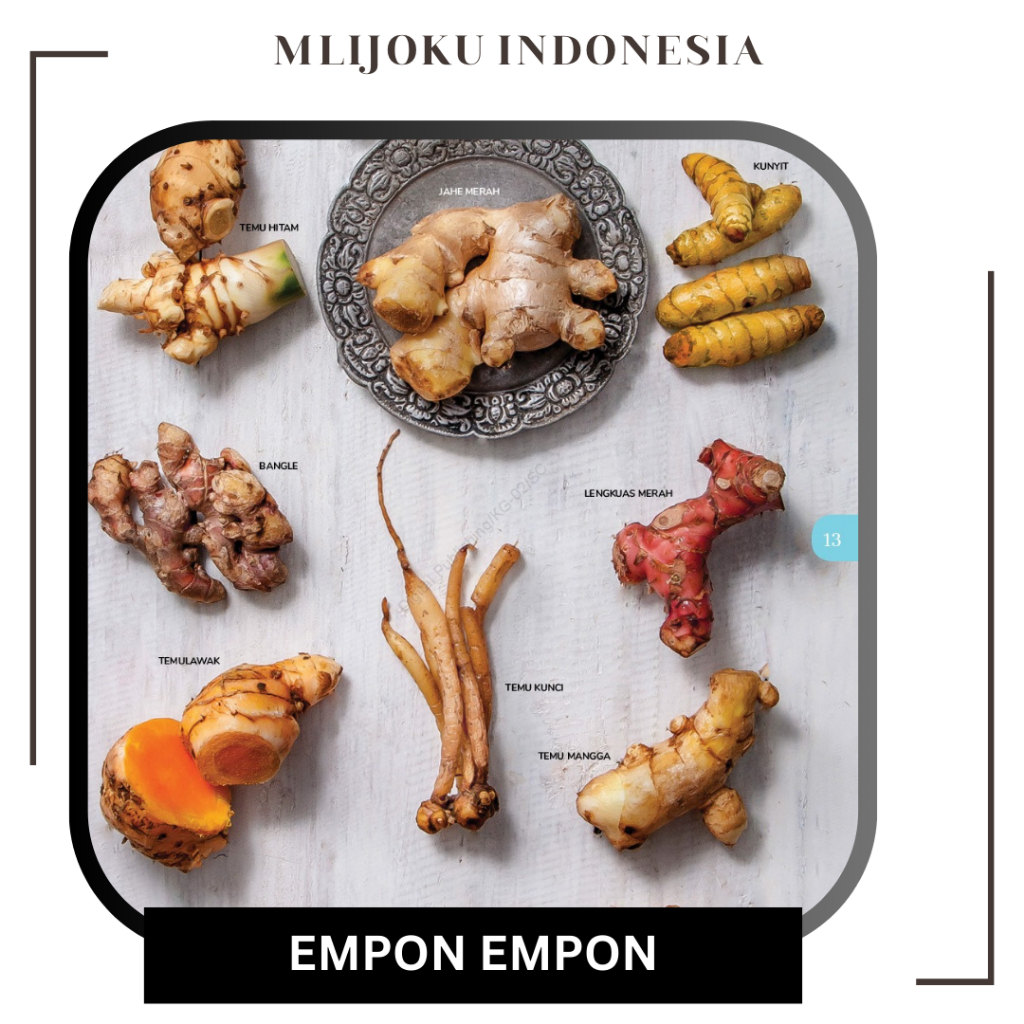 

Empon-Empon Paket Hemat ( Jahe, Kunyit, Kunci, Lengkuas, Kencur, Temulawak)