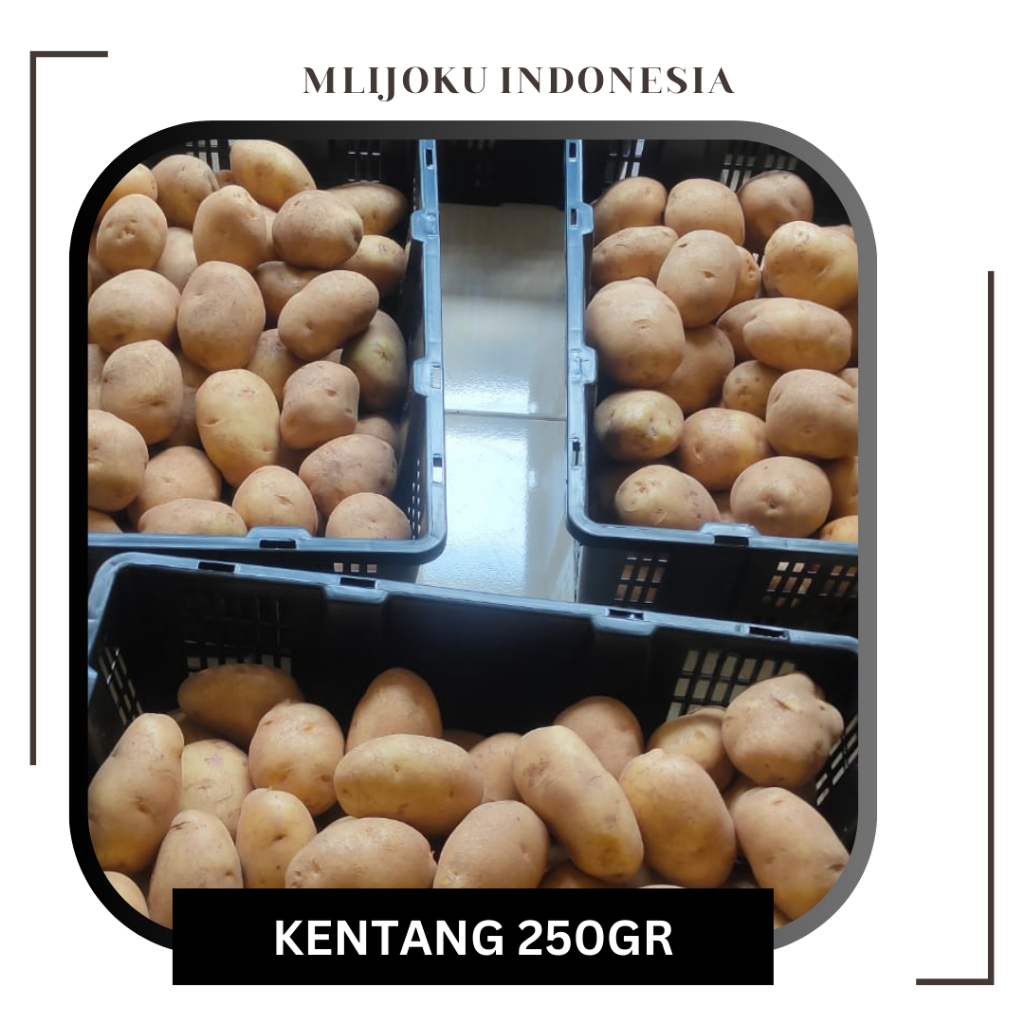 

Kentang Segar, Besar 250gr 500gr