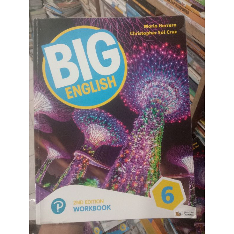 BIG English 6.Workbook.