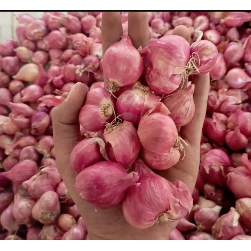 

Bawang merah lokal garing 1KG