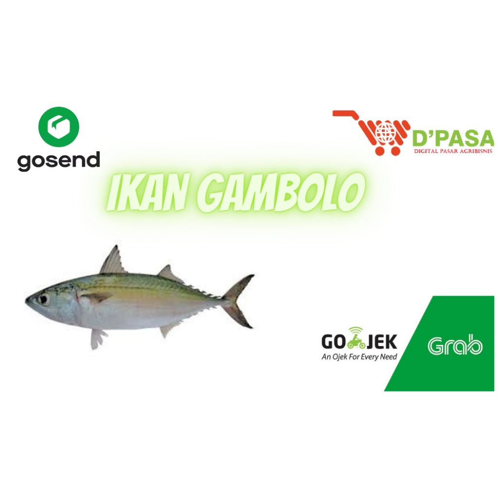 

KIRIM INSTAN Ikan Gambolo 250gr