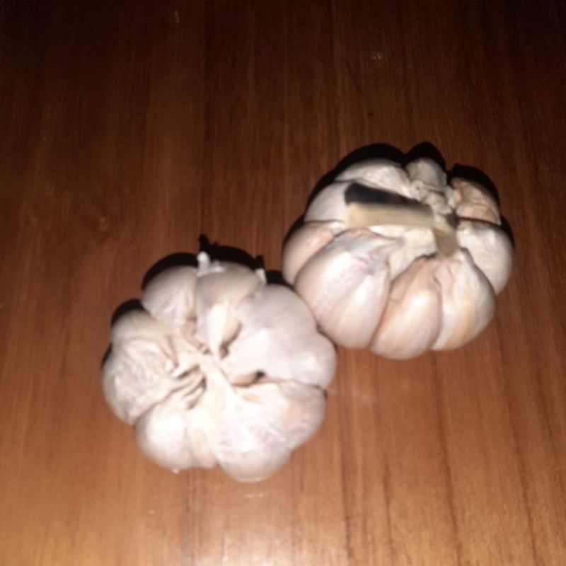 

bawang putih sinco 250 gram