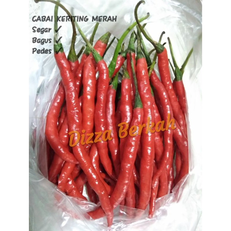 

Cabai Keriting Merah/Cabe Keriting Merah/100gr/Fresh/Bagus/Pilihan/Murah/Dizza Berkah