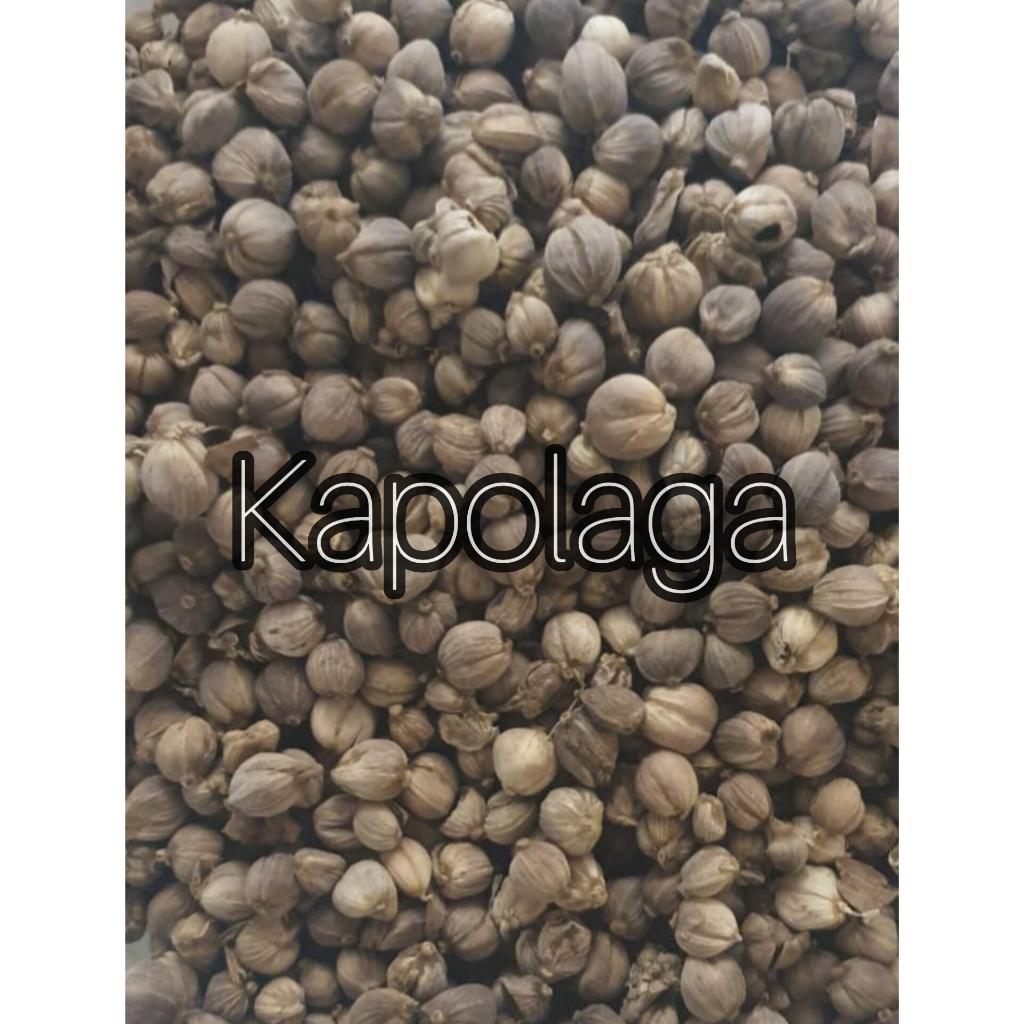 

Kapolaga 100gr - 250gr