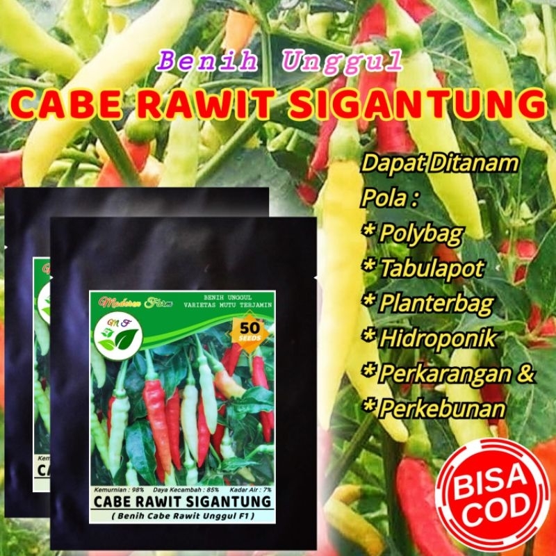 BENIH UNGGUL CABE RAWIT SIGANTUNG