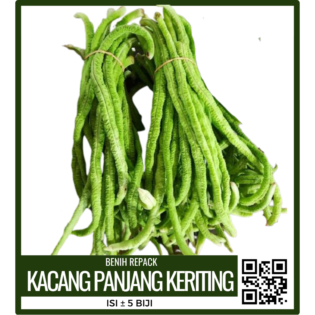 BENIH BIBIT KACANG PANJANG KERITING KALIMANTAN ISI 5 BIJI KEMASAN REPACK ECERAN ZIPLOCK