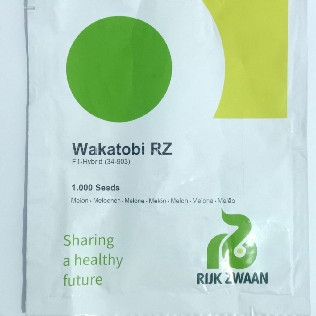 WAKATOBI RZ | BENIH MELON WAKATOBI