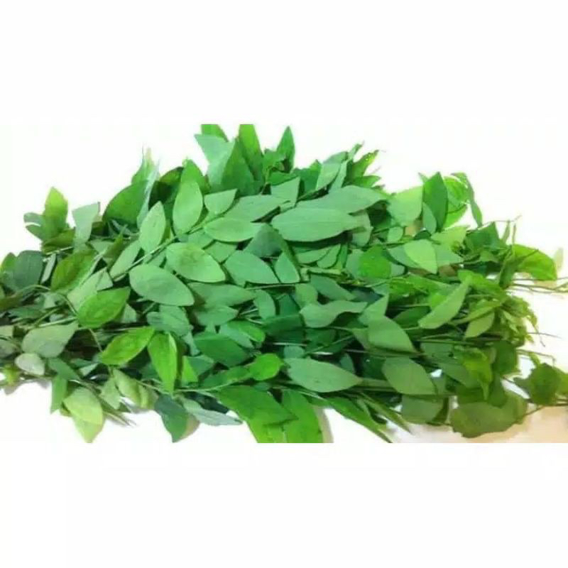 

DAUN KATUK FRESH PER IKAT