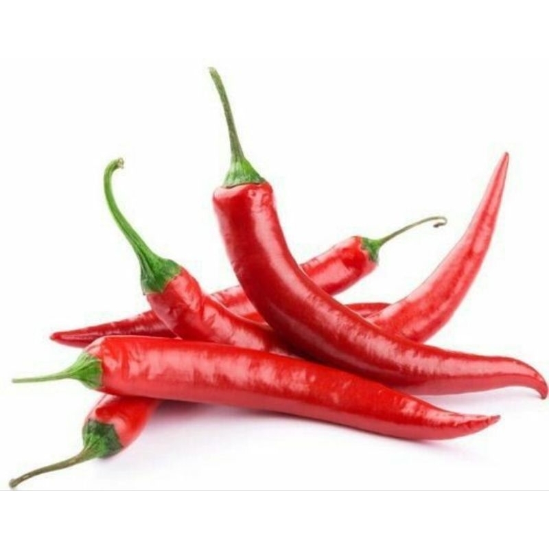 

[ MURAH ] - Cabe/Cabai Merah Besar