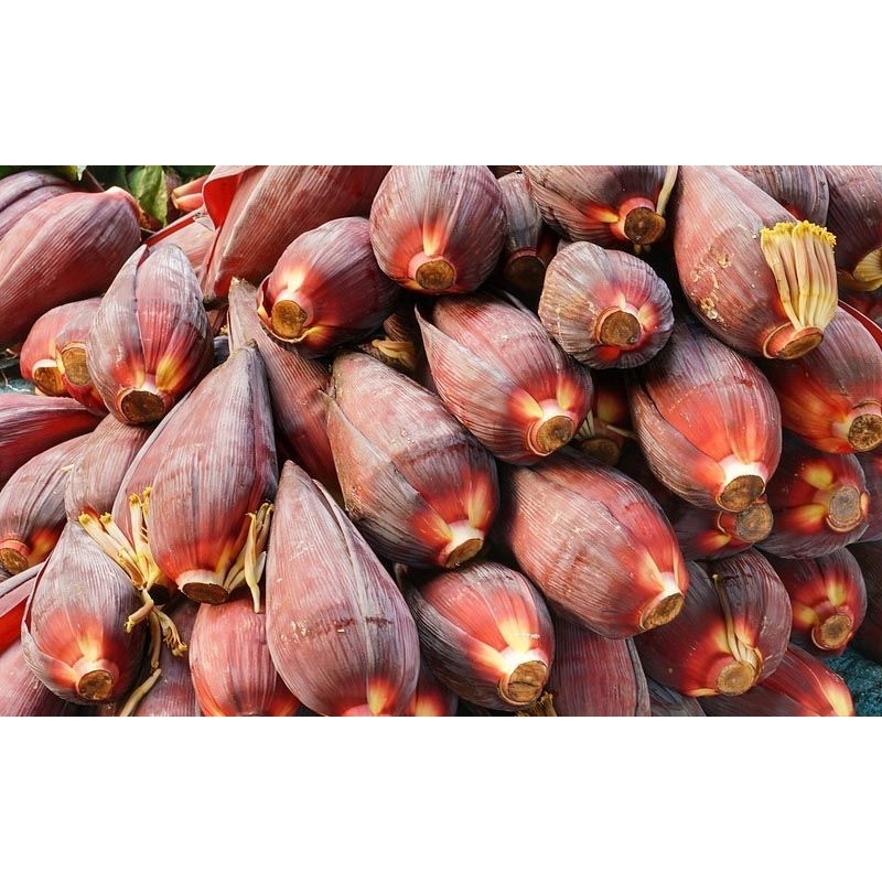 

jantung pisang kepok segar