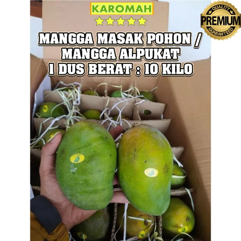 

Ready stok !! 1 dus Mangga harumanis masak pohon 1 dus berat 10 kilo fresh jamin manis