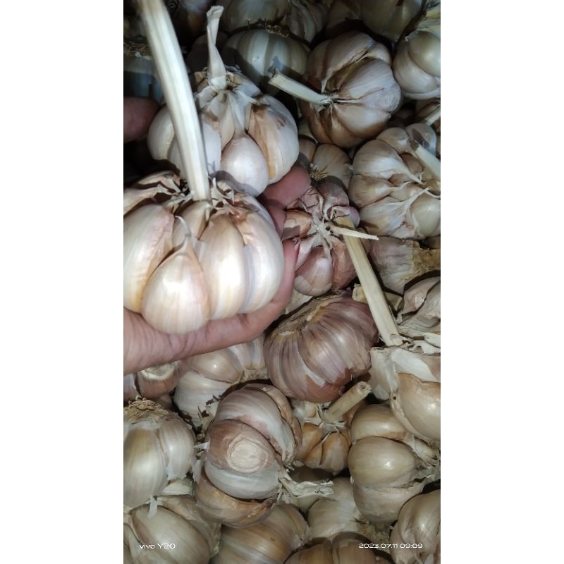 

BAWANG PUTIH BUMBU DAPUR 250gram MURAH