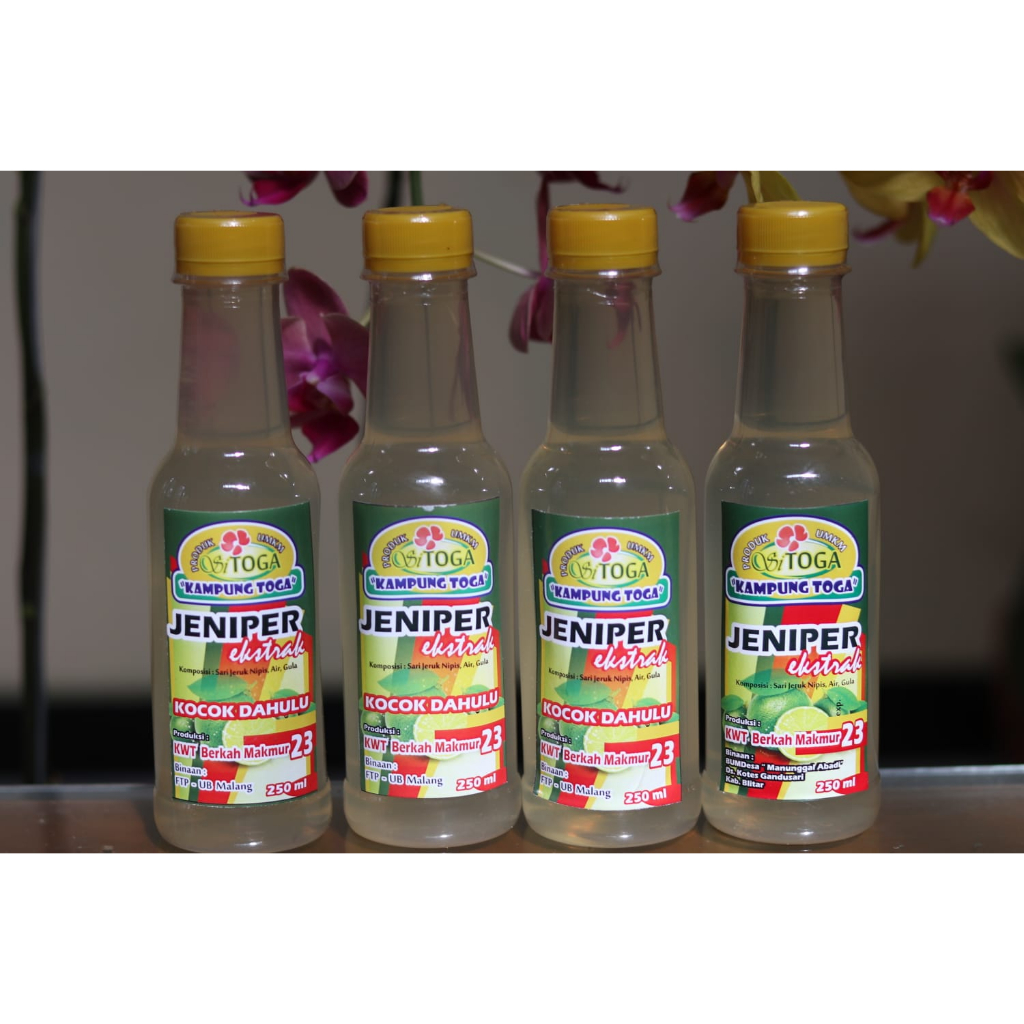 

SI TOGA Minuman Ekstrak Jeniper (Jeruk Nipis Peras)