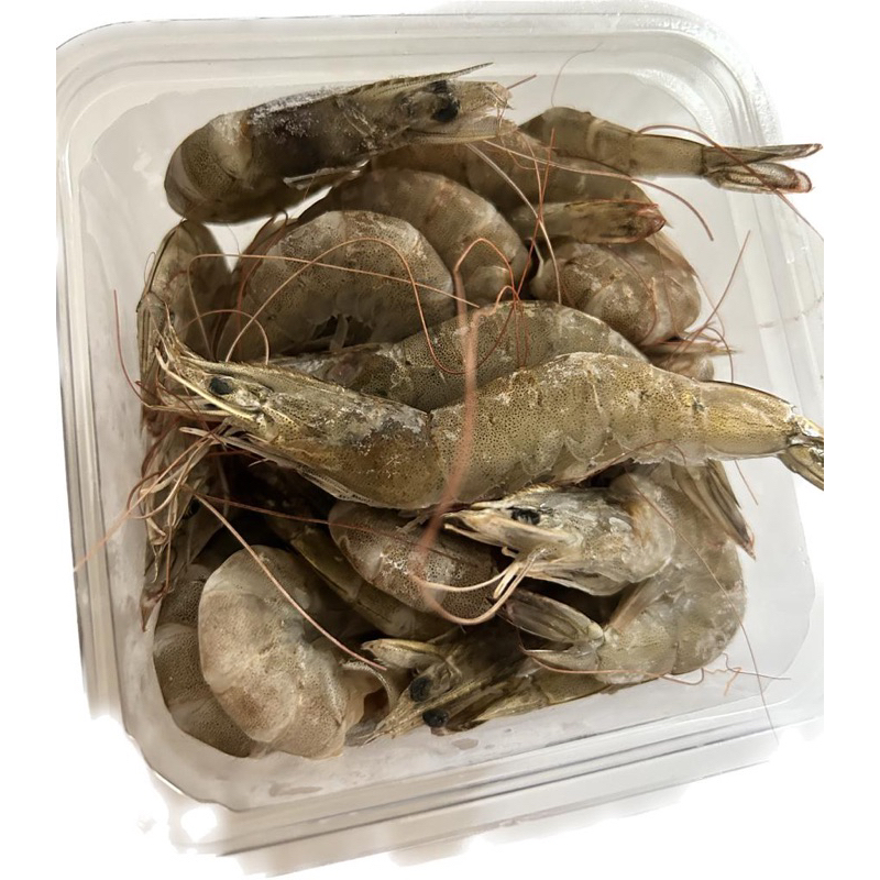 

Udang