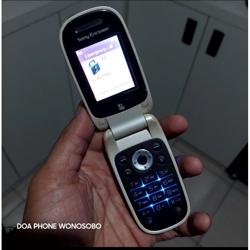 SONY ERICSSON Z310i , BAHAN