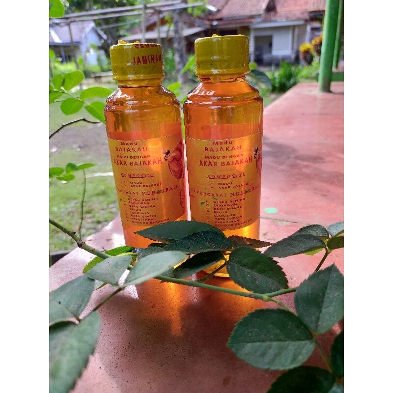 

Madu Bajakah Asli Kalimantan