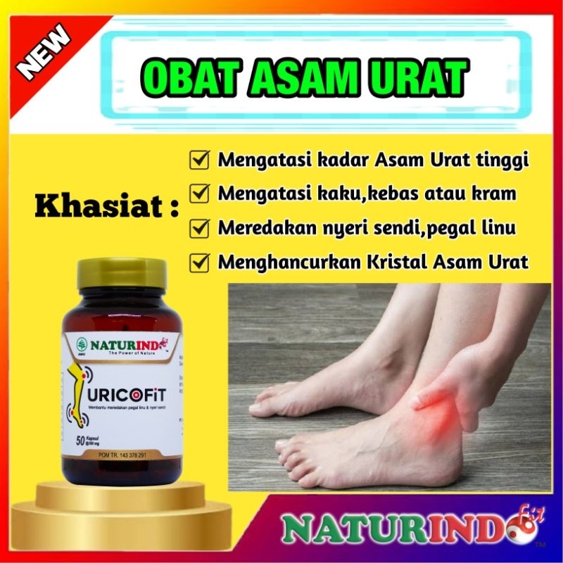 Obat Asam Urat Ampuh Obat Herbal Asam Urat Jamu Asam Urat URICOFIT POS K Naturindo Fit COD