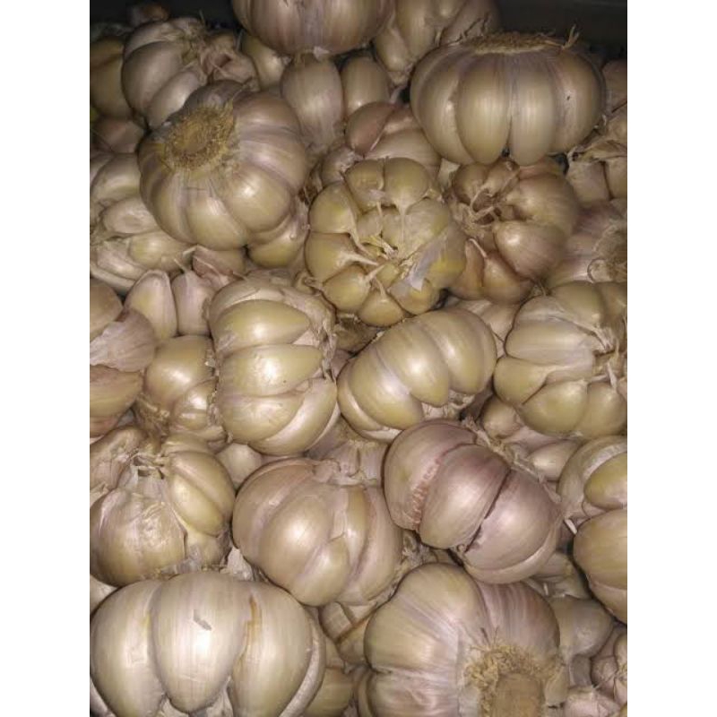 

BAWANG SINCO
