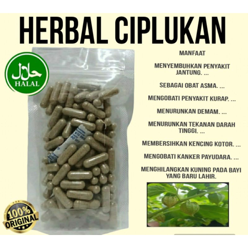 kapsulcurah CIPLUKAN obat herbal stroke dan diabetes isi100