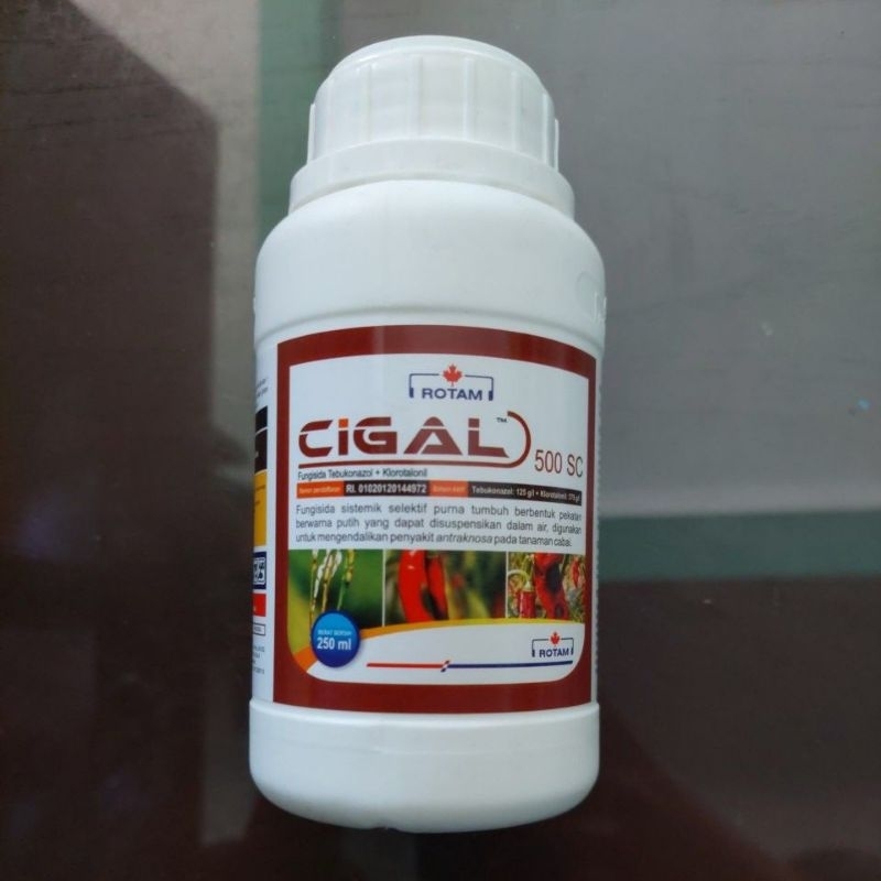 Fungisida CIGAL 500 SC bahan aktif tebukonazol + klorotalonil - kemasan 250ml