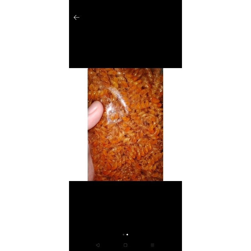 

spiral pedas daun jeruk