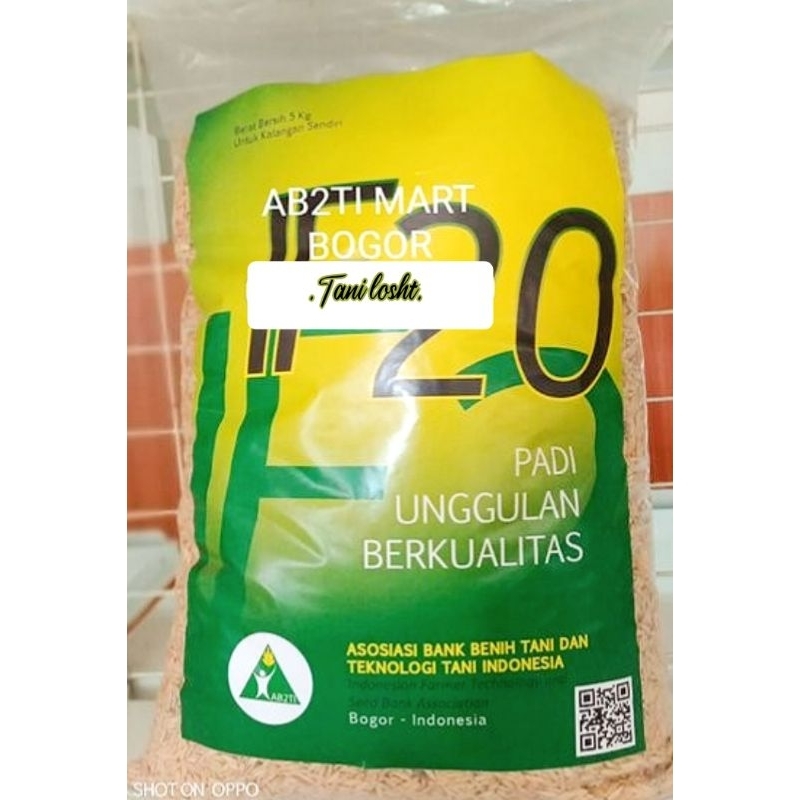 BENIH VIRAL  PADI UNGGUL IF20 ORIGINAL AB2TI BERKUALITAS KEMASAN 5KG