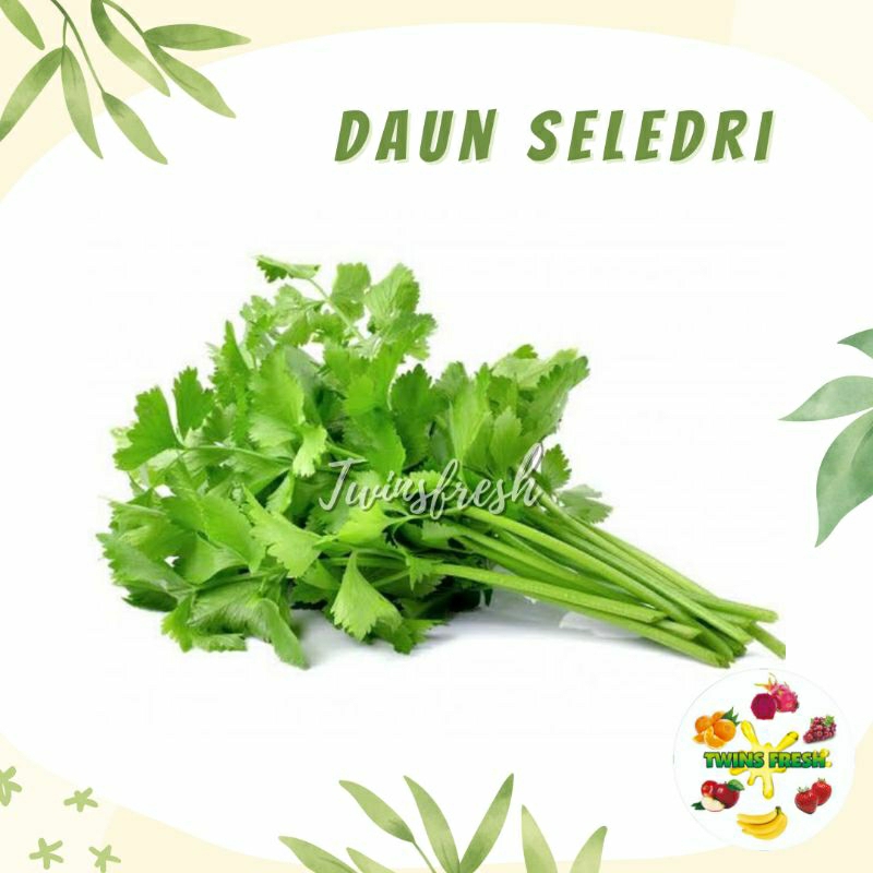 

Daun Seledri 1pack