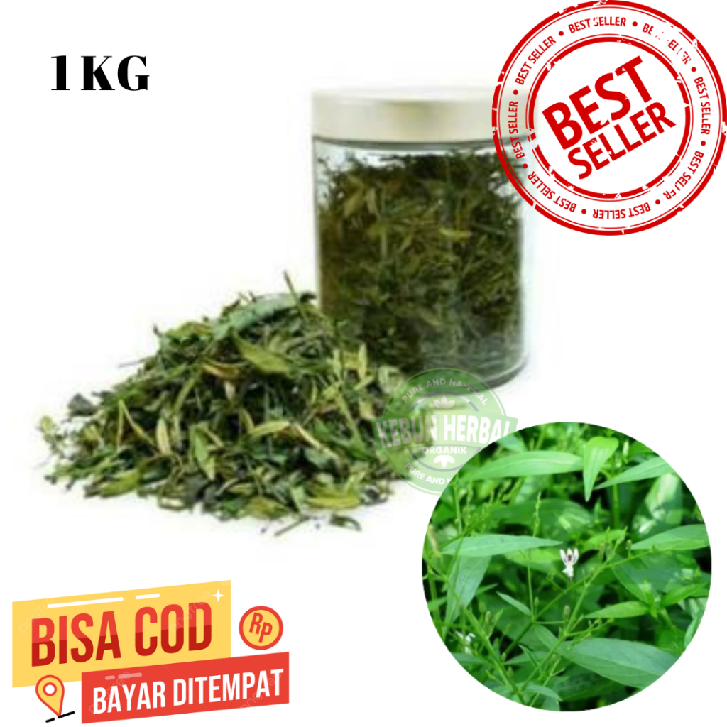 

Daun sambiloto kering 1 kg