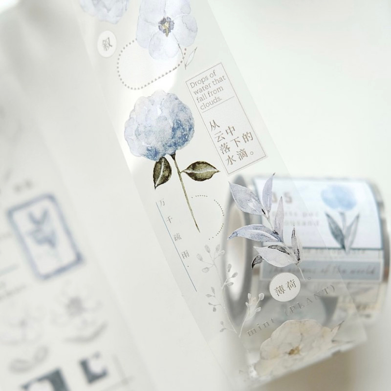 

Freckles Tea Cicada Shiyu Washi and PET Tape