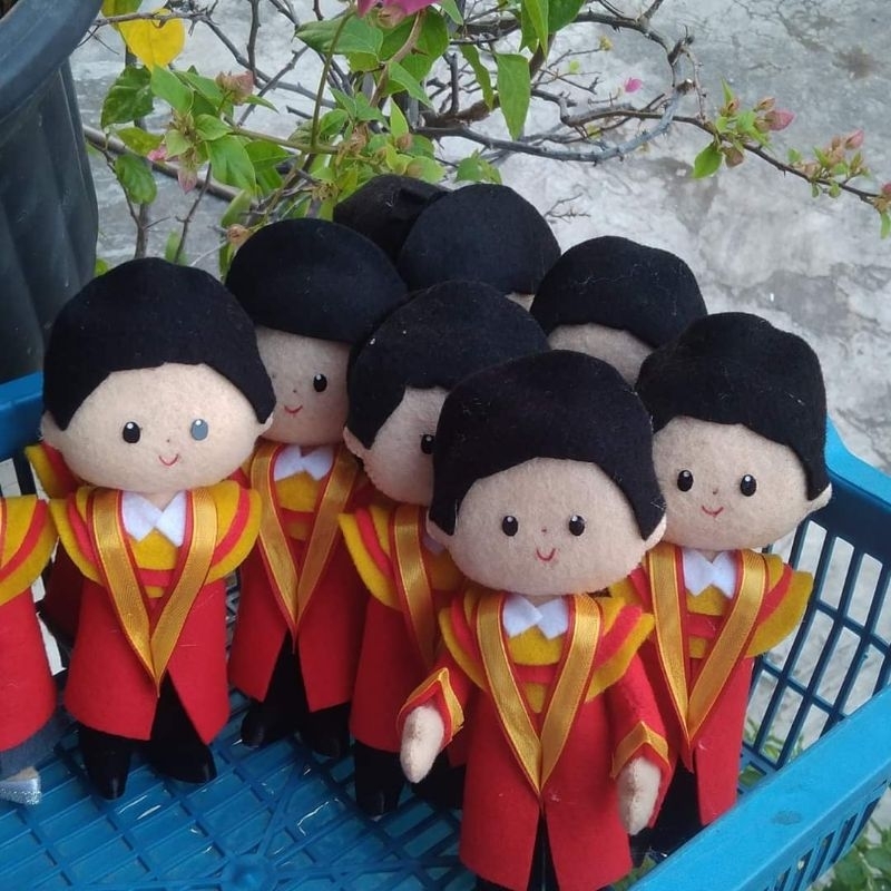 BONEKA PROFESI - BONEKA WISUDA COWO - BONEKA WISUDA LAKI-LAKI - BONEKA WISUDA COWOK