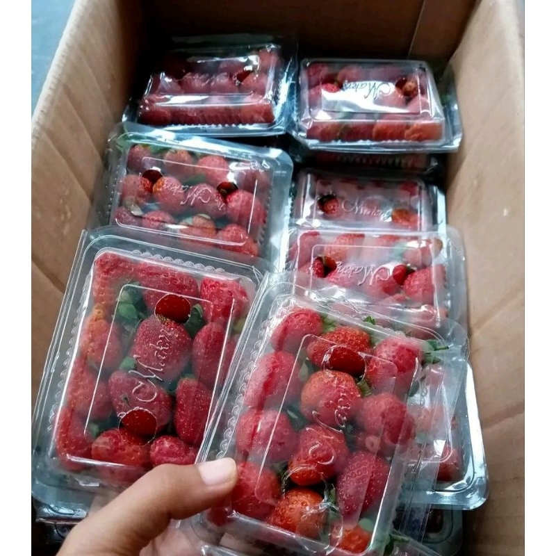 

Buah Strawberry