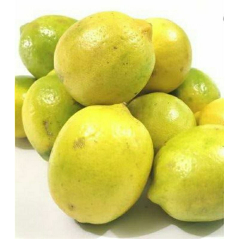 

jeruk lemon lokal fresh 1kg