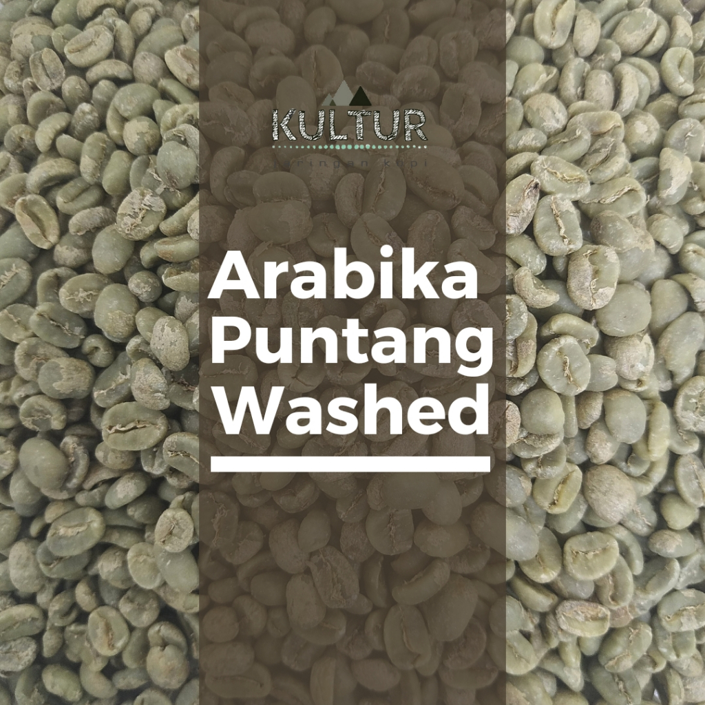 

GREEN BEAN ARABIKA PUNTANG SUNDA GULALI WASHED BIJI KOPI MENTAH NETTO 1 KG