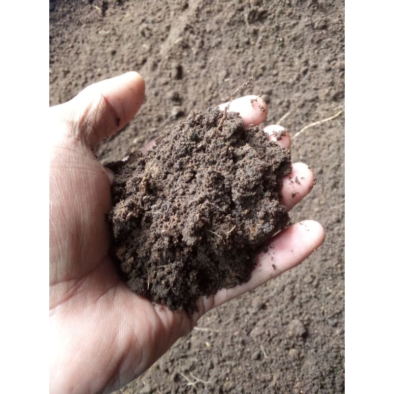 Tanah Lembang/tanah subur