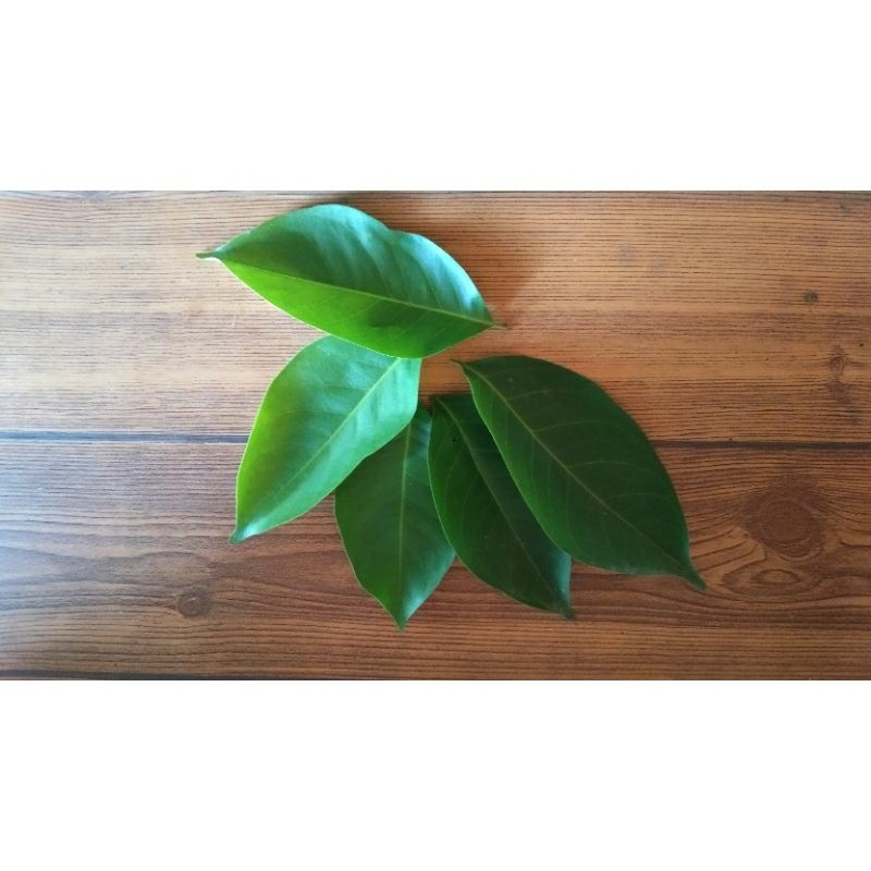 

daun salam per pak