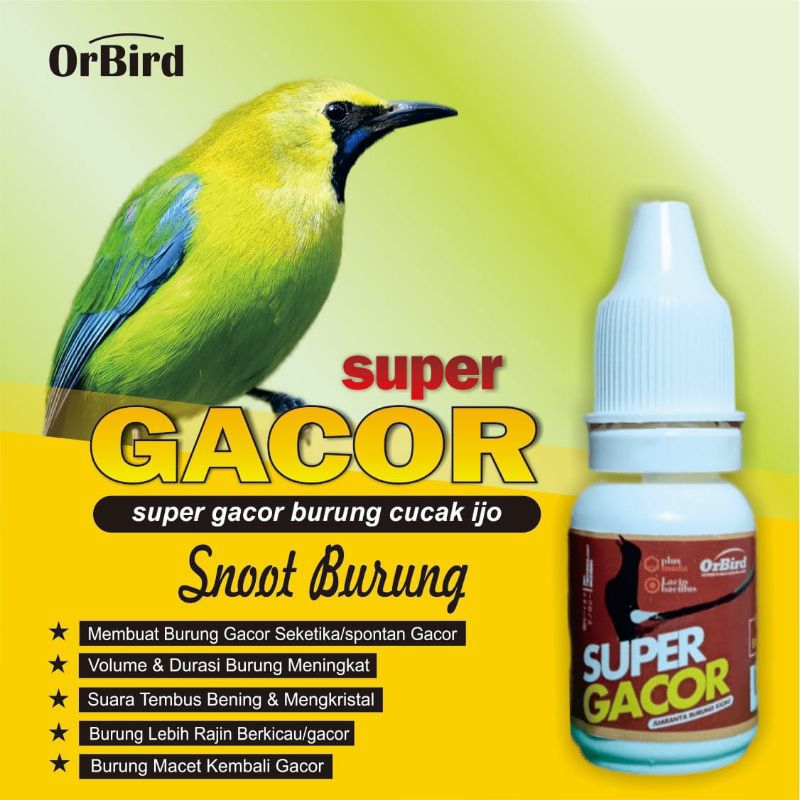 BERKUALITAS Obat Gurah Burung Alami | Obat Burung Kenari Serak | Obat Burung Kenari Sakit | Obat Burung Kenari Nyilet |Obat Burung Kenari Macet Bunyi