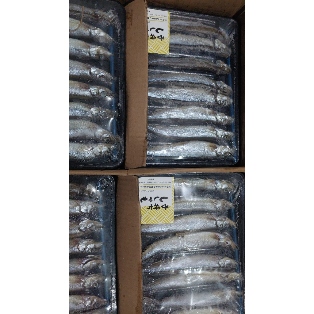 

PROMO IKAN SHISAMO/IKAN CAPELIN/ IKAN CIPUNG / IKAN TELOR ISI 8 SUPER PREMIUM