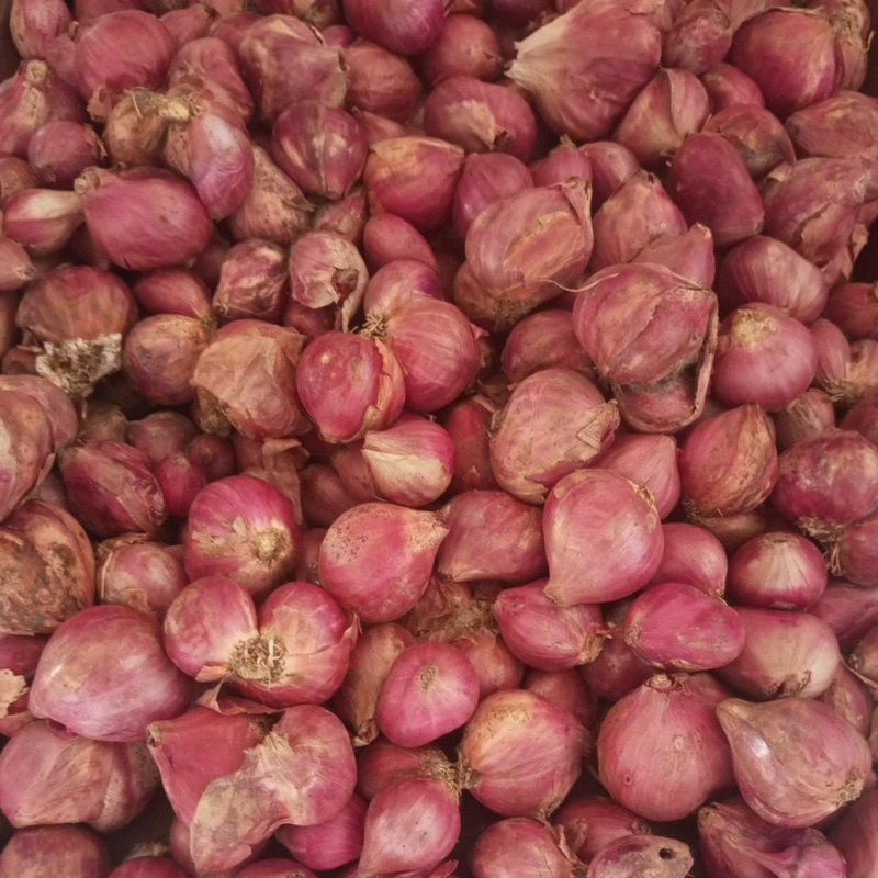 

bawang merah setengah kilo