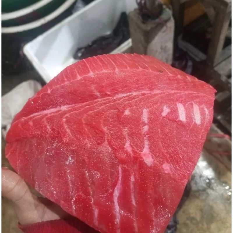 

IKAN TUNA FILLET PAKET 5KG FREAH Berkualitas GRADE A / ANEKA IKAN LAUT SEGAR / IKAN FILLET SEGAR