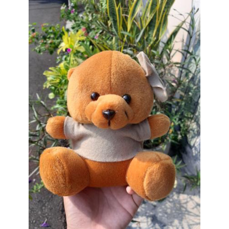 Boneka bear/boneka teddy/boneka beruang/boneka baju
