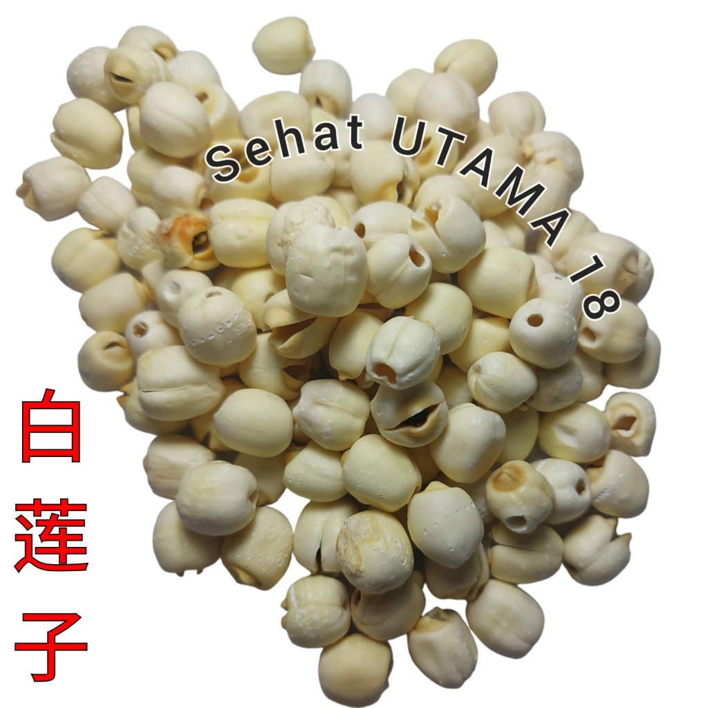 

Bai Lian Zi Lien Ci / Biji Teratai / Lotus Seed 蓮子 Semen Nelumbinis Nucifera