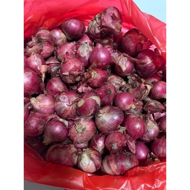 

Bawang Merah Brebes