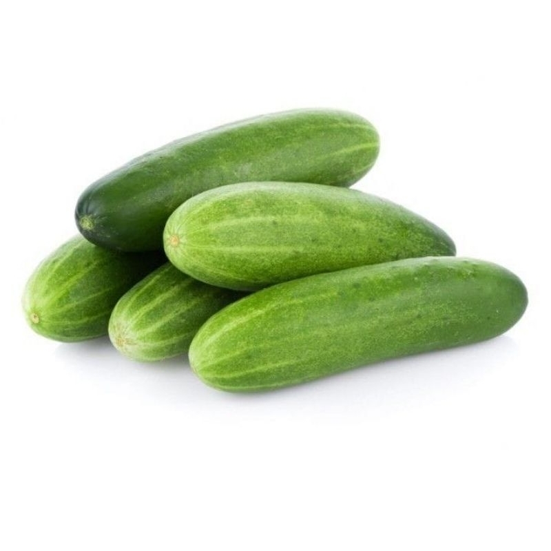 

Timun 1kg