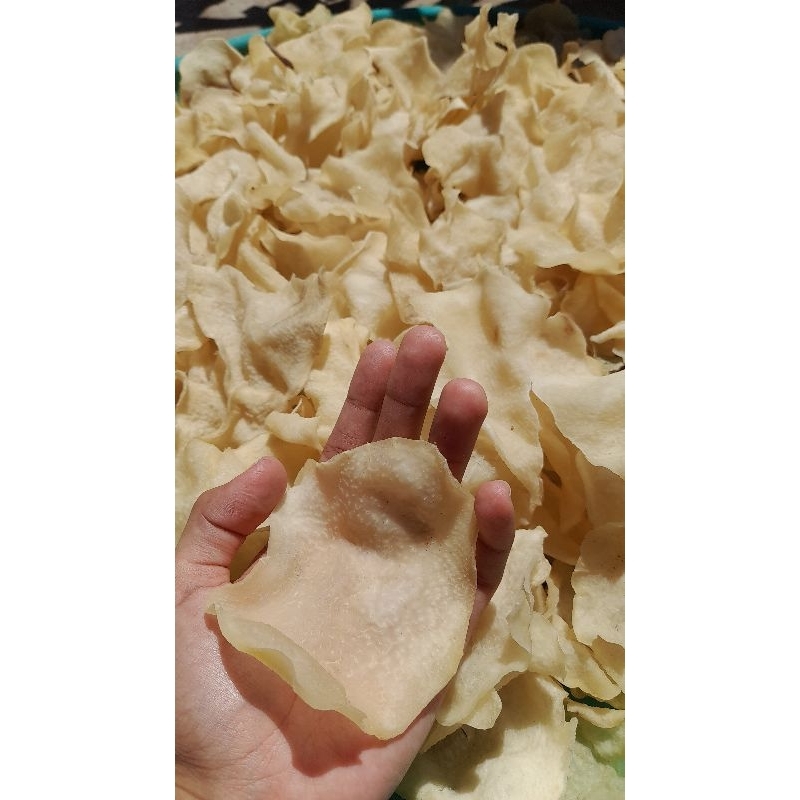 

KERIPIK GADUNG KRIPIK