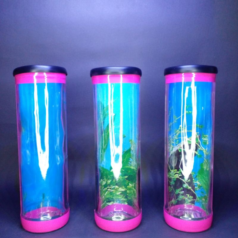 Aquarium mini/ Soliter Cupang/ Soliter mini/ Soliter ikan/ Botol ikan Cupang/ Aquarium ikan hias/ Wa