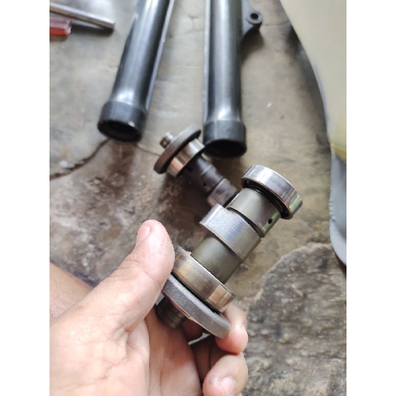 Noken as Tiger ori copotan