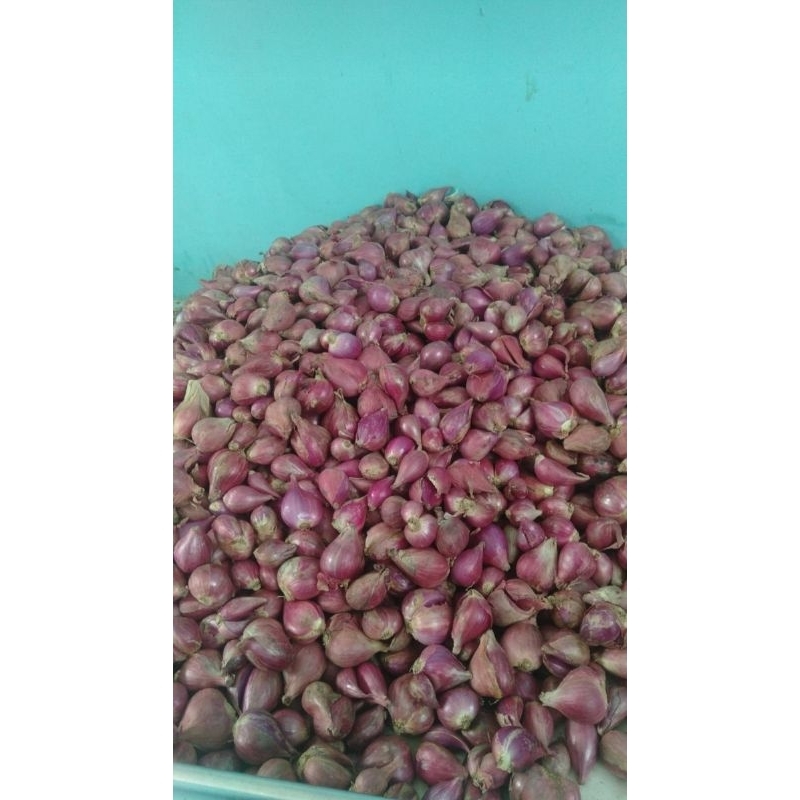 

Bawang Merah Brebes