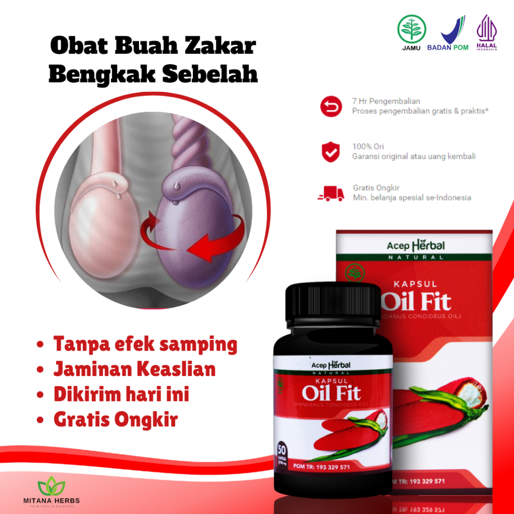 Obat Buah Zakar Bengkak, Obat Varikokel di Buah Zakar, Benjolan Di Buah Zakar, Buah Zakar Bengkak Se